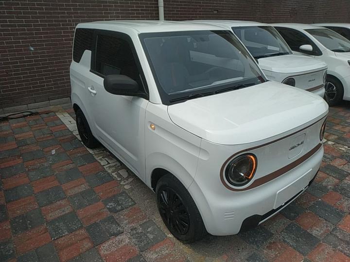 2023 Panda mini 200km Endurance Bear photo 3
