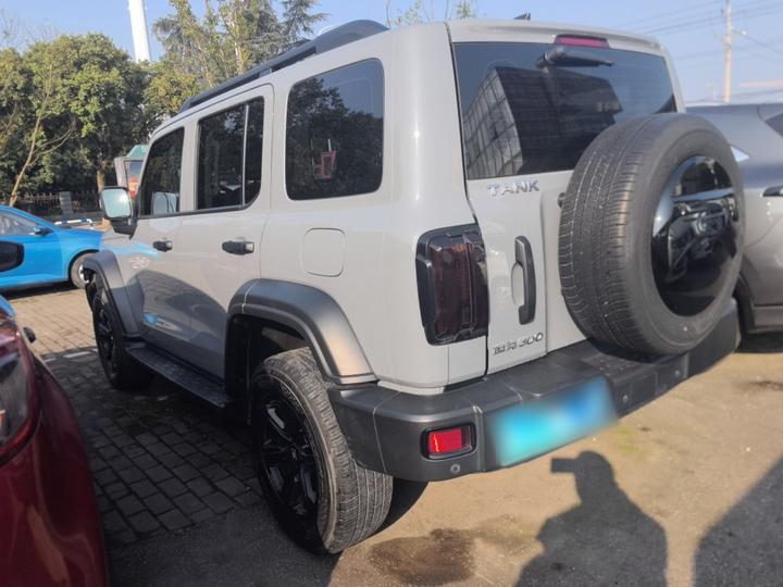 300 2021 Off-road 2.0T photo 3