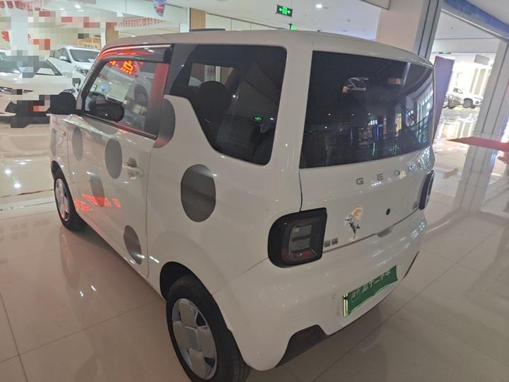 2023 Panda mini 200km Endurance Bear photo 4