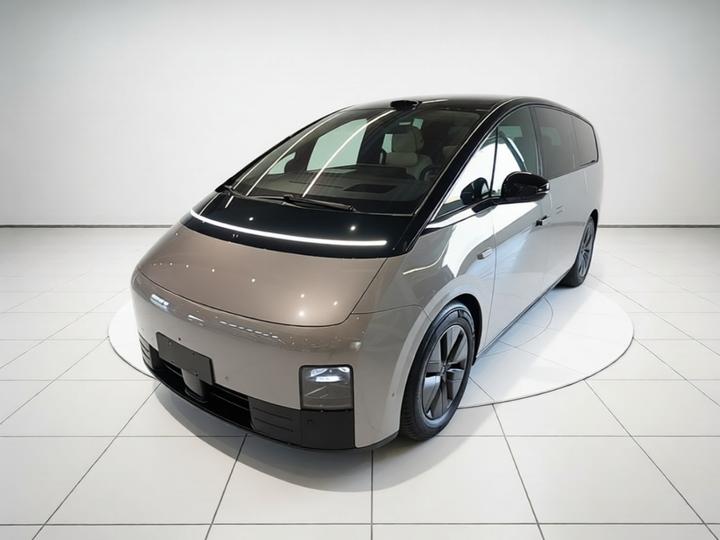 Li MEGA 2025 Home Family Special