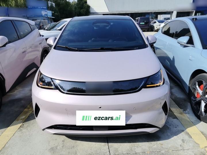 Dolphin 2025 ADAS 410km Fashion photo 2