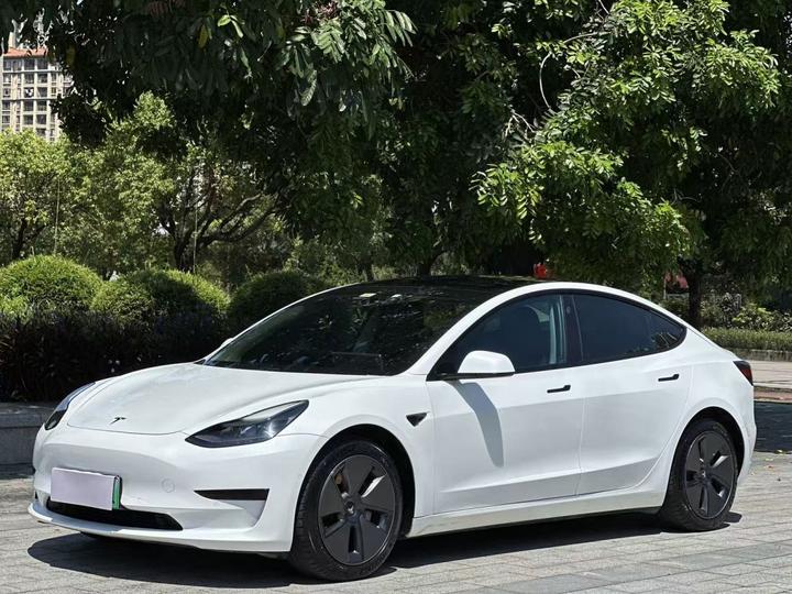 Model 3 2021 Standard Range RWD Upgraded 3D6