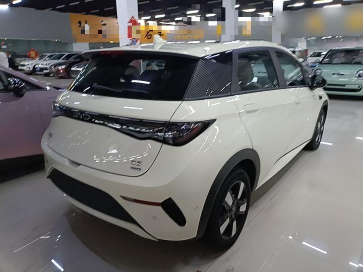 Dolphin 2025 ADAS 410km Fashion photo 6