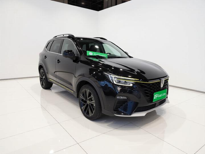 RX5 EV 2020 ePLUS Luxury photo 3