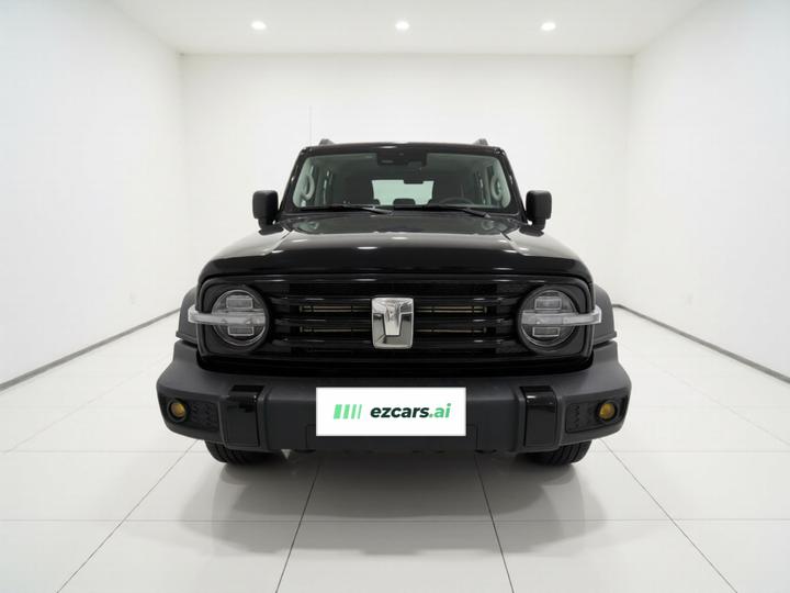 300 2024 2.0T Conqueror photo 2