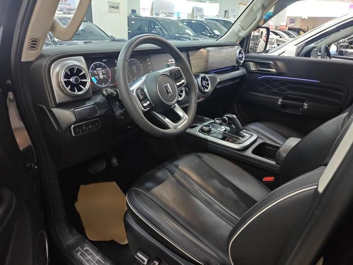 300 2023 Off-road 2.0T Conqueror photo 8