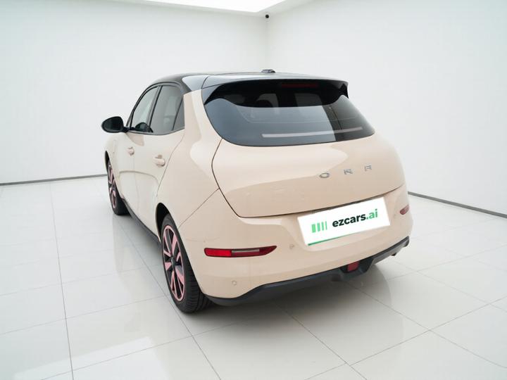 Good Cat 2021 400km Standard Range LFP photo 4