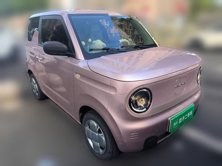 2023 Panda mini 200km Endurance Bear photo 3