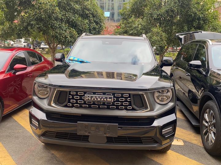 Dargo PLUS 2023 1.5T RWD Plus photo 2