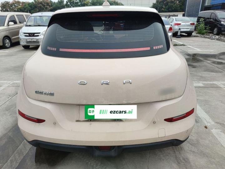 Good Cat 2023 401km Standard Range Noble LFP photo 3