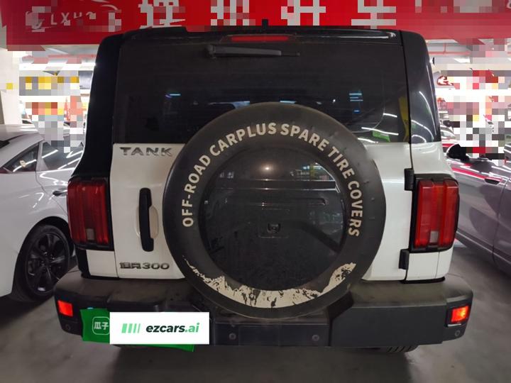 300 2021 Off-road 2.0T Conqueror photo 5