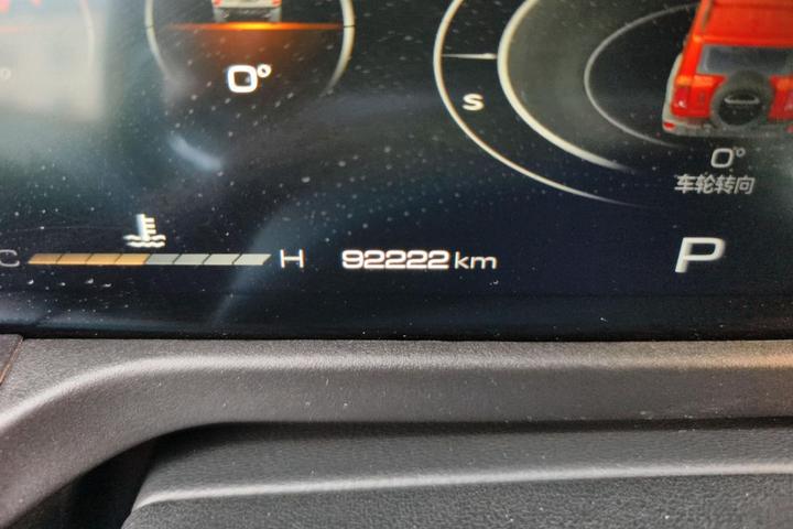 300 2021 Off-road 2.0T photo 7