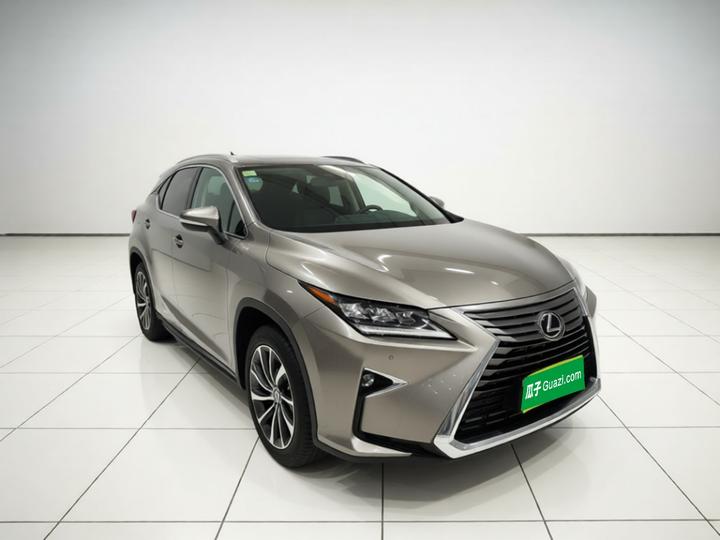 RX 2016 300 AWD Elegant China V photo 3