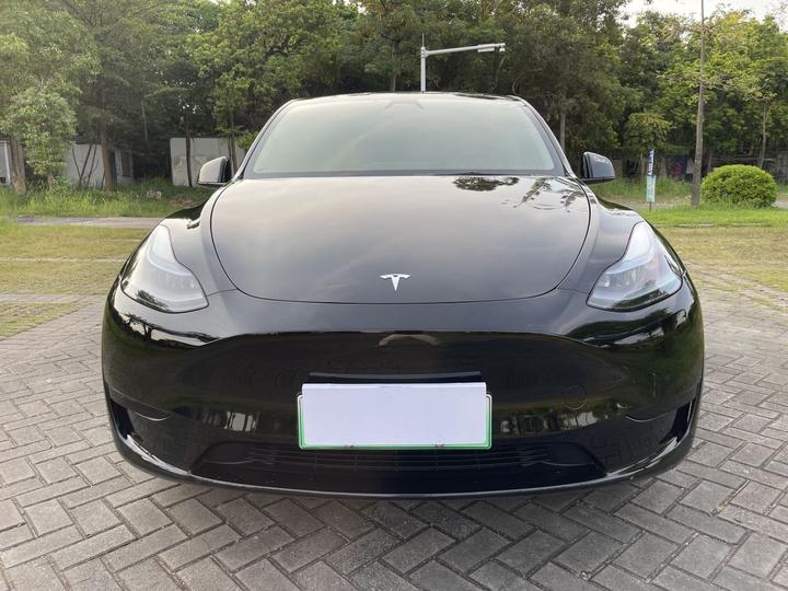 Model Y 2024 RWD photo 2