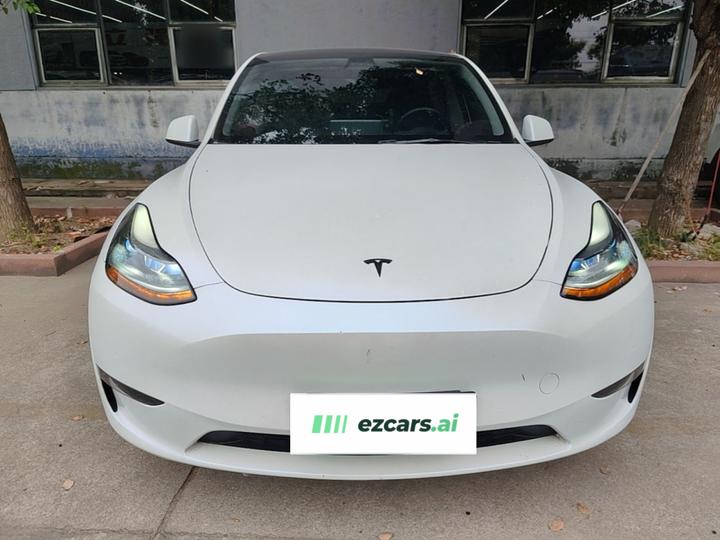 Model Y 2021 Standard Range RWD photo 2