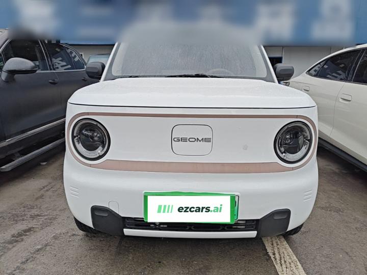 2023 Panda mini 200km Endurance Bear photo 2