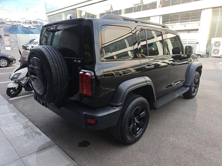300 2021 Off-road 2.0T Conqueror photo 6