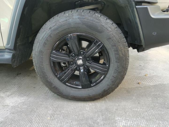 300 2025 2.0T Petrol Conqueror photo 8