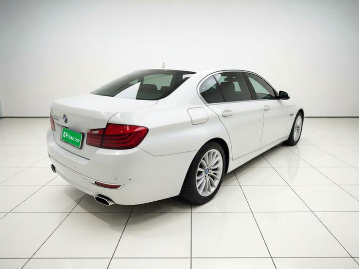 5 Series 2017 525Li Luxury Design Package photo 6
