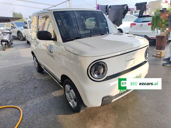 2024 Panda mini 200km Endurance Bear photo 3
