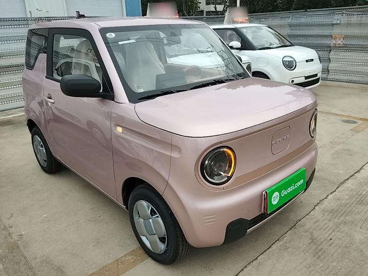 2024 Panda mini 200km Endurance Bear photo 3