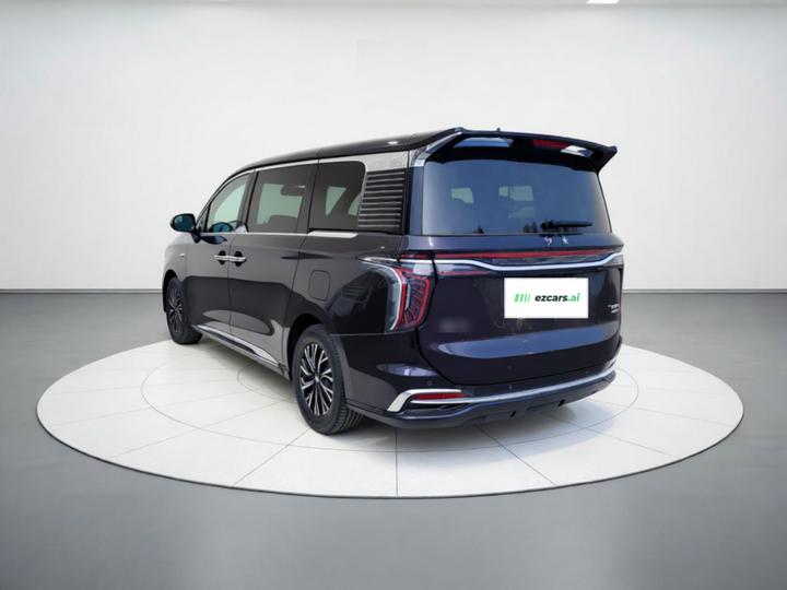 HQ9 PHEV 2024 2.0T AWD Business photo 4
