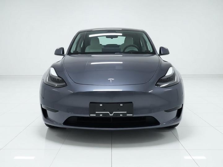 Model Y 2022 RWD photo 2