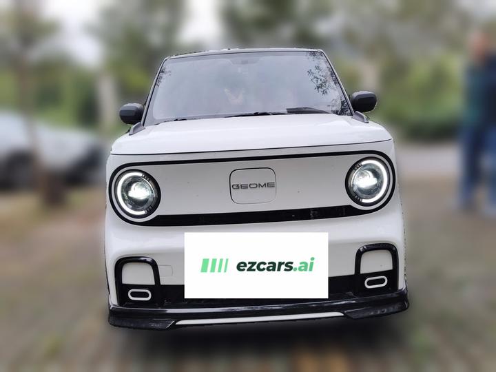 2025 210km Panda photo 2