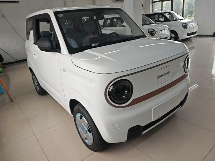 2024 Panda mini 200km Endurance Bear photo 3