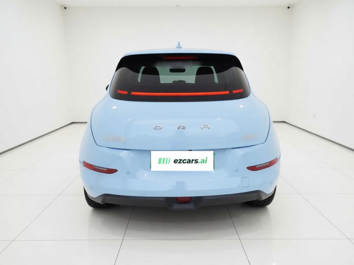 Good Cat 2021 400km Standard Range LFP photo 3