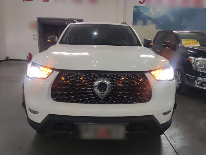2021 2.0T AT Petrol AWD Elite GW4C20B photo 2