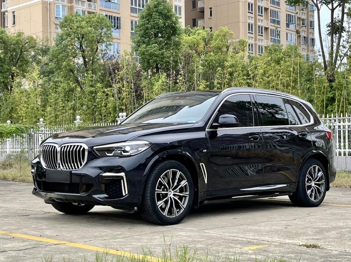 X5 2022 Facelift xDrive 30Li M Sport Package photo 4