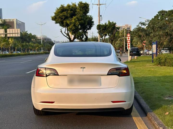 Model 3 Imported 2019 Standard Range RWD Upgraded 52 photo 5