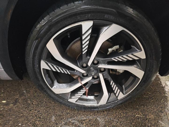 Xingyue L 2021 2.0TD DCT EVO RWD Premium photo 8