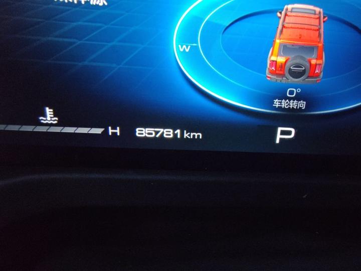 300 2023 Off-road 2.0T photo 6