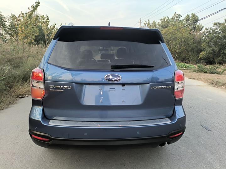 Forester 2015 2.0i Anniversary Edition photo 5