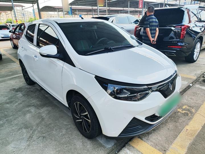 EV EV2 2023 201km Luxury photo 3