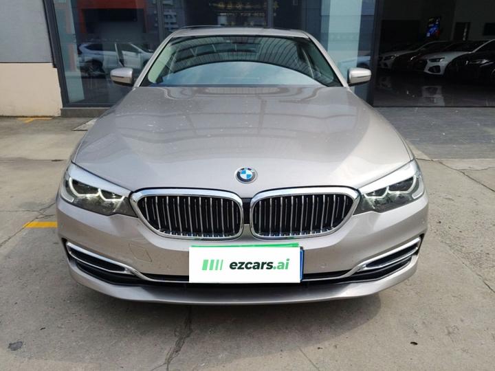 5 Series 2019 530Li Leading Luxury photo 2