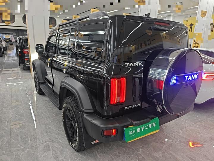 300 2023 Off-road 2.0T photo 4