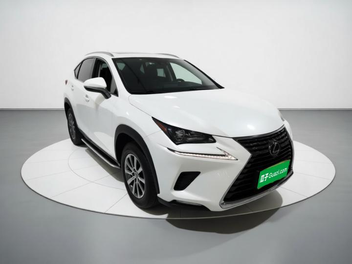NX 2020 300h FWD China VI photo 3