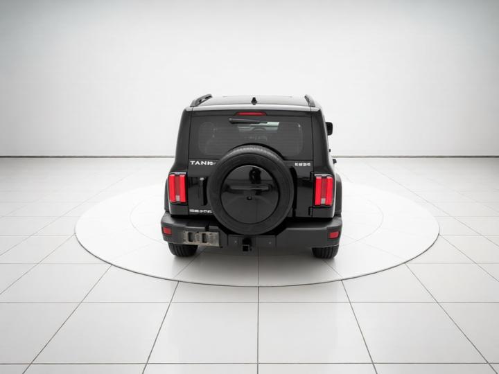 300 2023 Off-road 2.0T photo 5