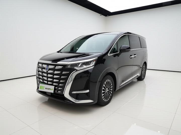 D9 2024 DM-i 980 AWD Noble