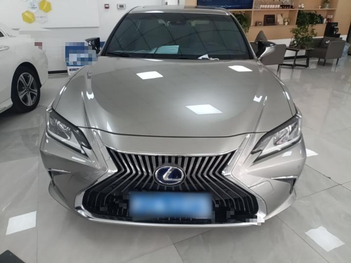 ES 2018 300h Excellence China V photo 2
