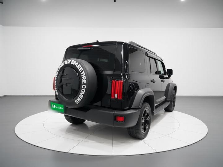 300 2023 Off-road 2.0T Conqueror photo 5