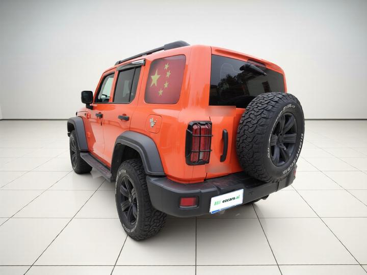 300 2021 Off-road 2.0T Conqueror photo 4