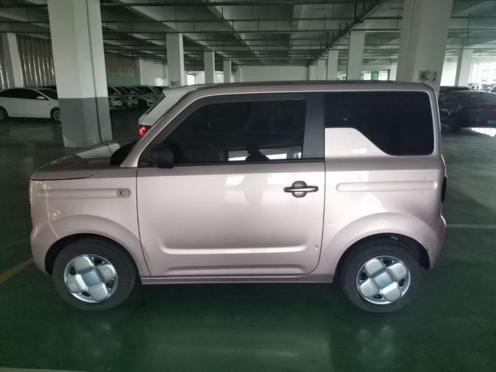 2023 Panda mini 200km Endurance Bear photo 4