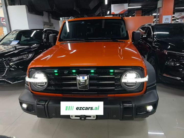 300 2021 Off-road 2.0T Conqueror photo 2