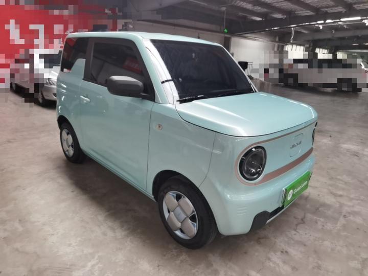 2024 Panda mini 200km Endurance Bear photo 3