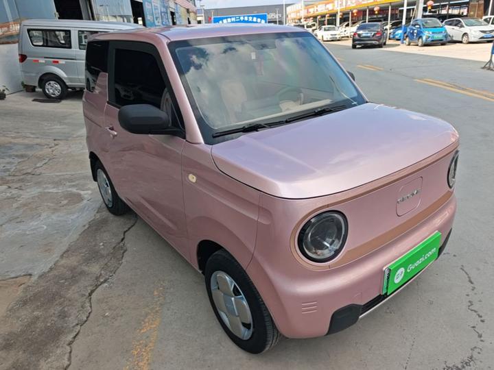 2024 Panda mini 200km Endurance Bear photo 3