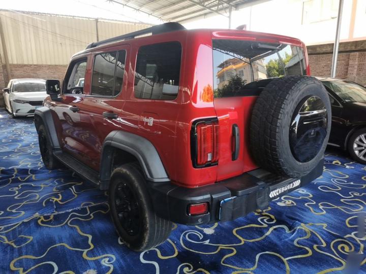 300 2021 Off-road 2.0T Conqueror photo 4
